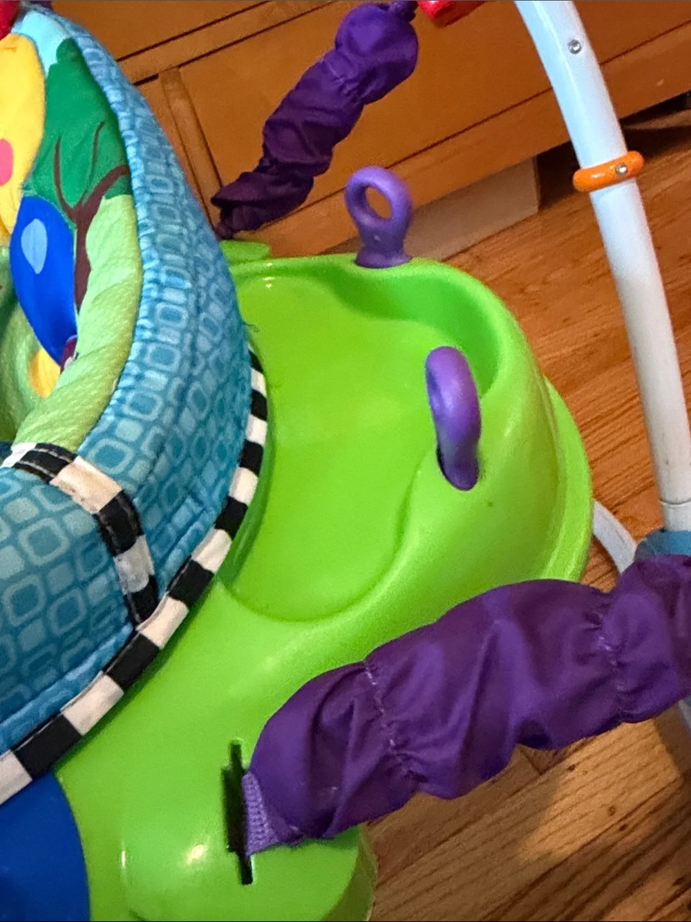 Baby Einstein multicolor infant